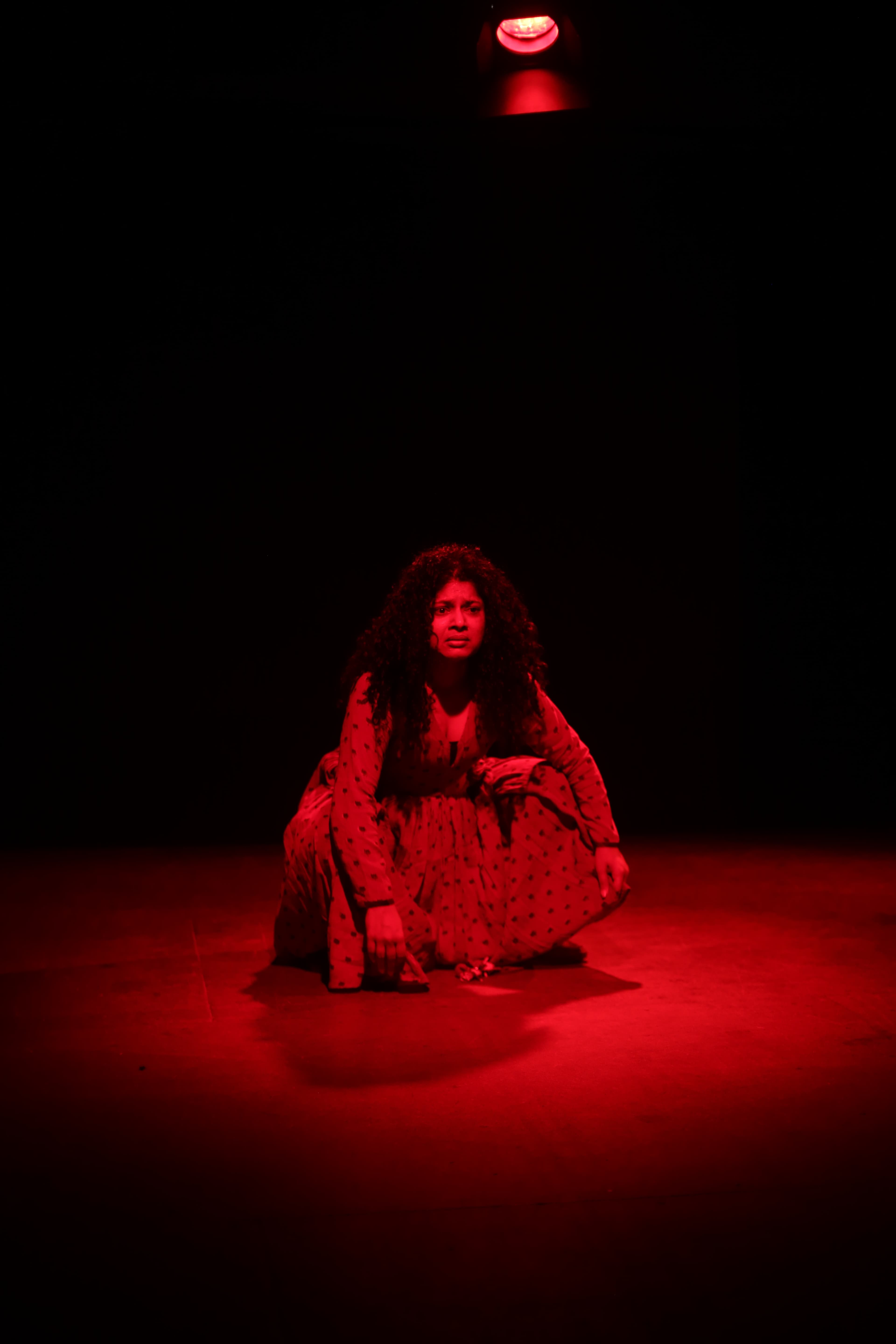 Dr. Anandibai gallery image 3